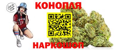 мдпв Жуковский