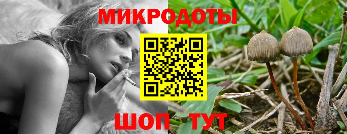Псилоцибиновые грибы мицелий  Вход с VPN  Лангепас  Галлюциногенные грибы Cubensis 